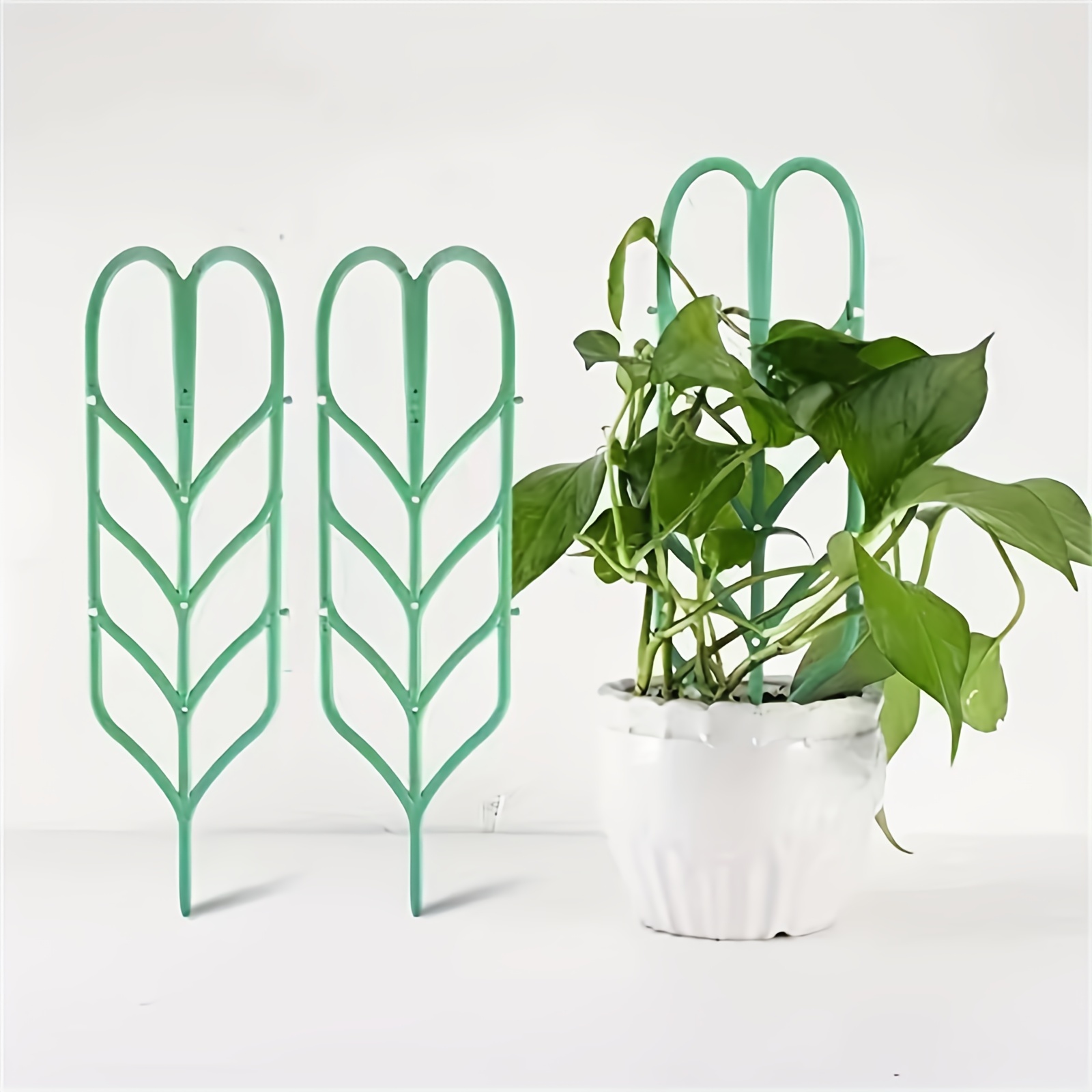 Grow Your Indoor Plants with This 1pc Plant Support Frame - Perfect for Climbing Vines!