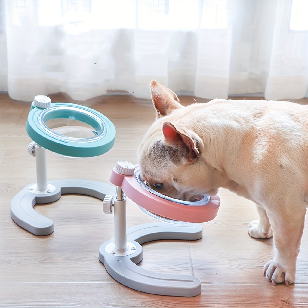 Elevated slanted dog clearance bowl