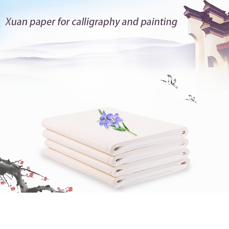 Chinese Blank Xuan Paper Raw, Calligraphy Brush Ink Writing Sumi Rice Paper  Without Grids, White Sheng Xuan Paper for Beginner & Intermediate Practice