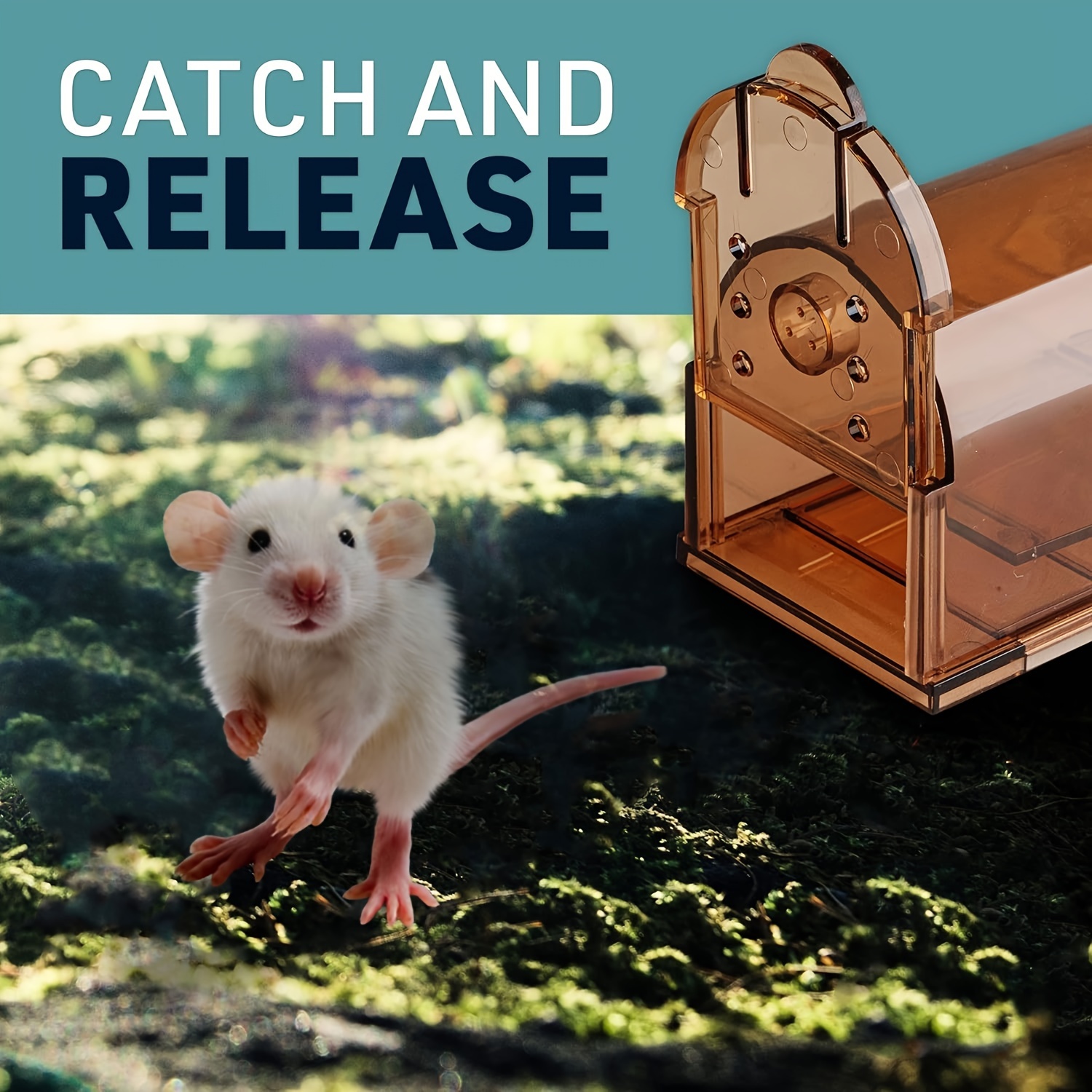 Humane Catch and Release Indoor / Outdoor Mouse Traps Pack of 2