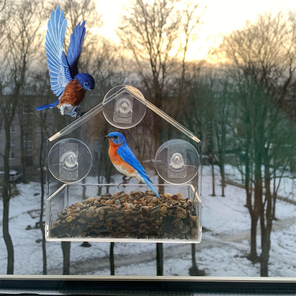 Mangeoire À Oiseaux À Fenêtre Transparente En Acrylique Avec