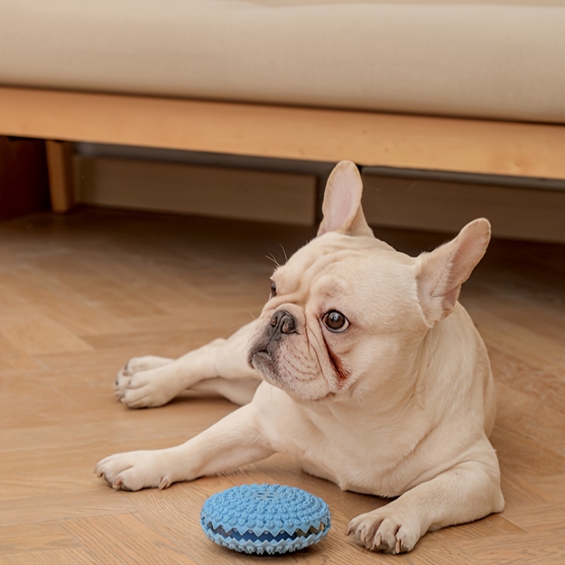 2 pièces Disques volants Jouets interactifs pour chiens En