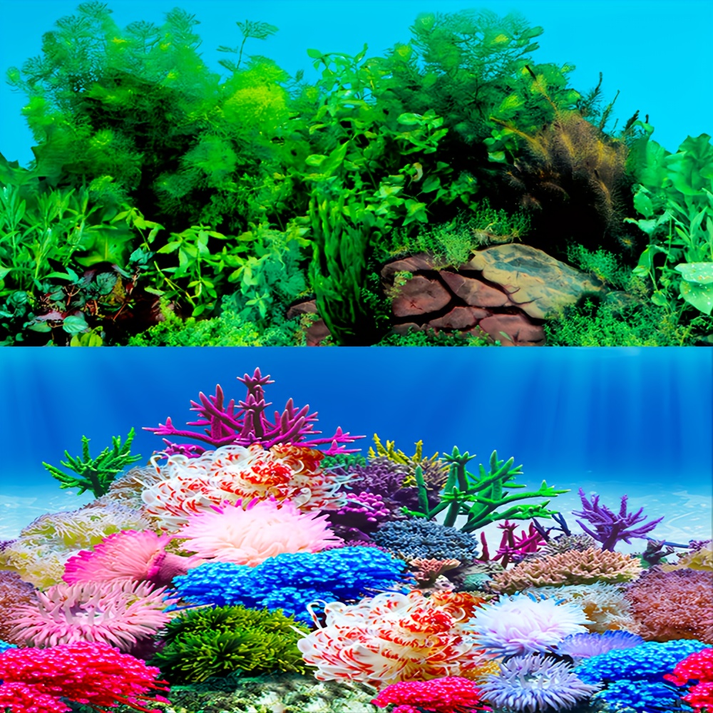 Tropical Fish Tank Background Aquarium Background Double Sided 3d