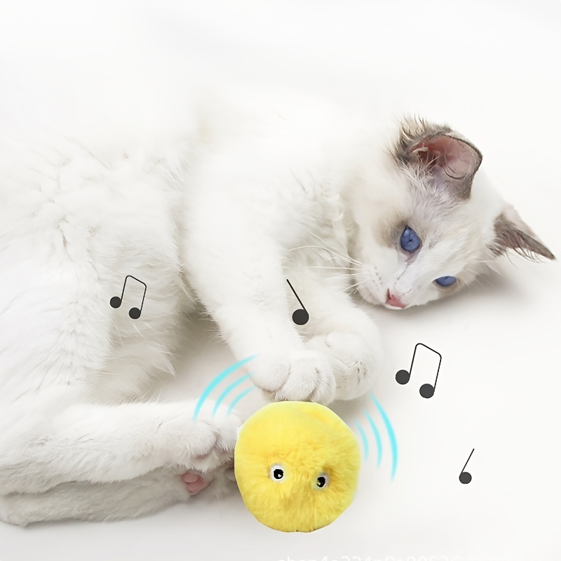 Interactive Soft Ball Cat Training Toy with Squeaky Sound