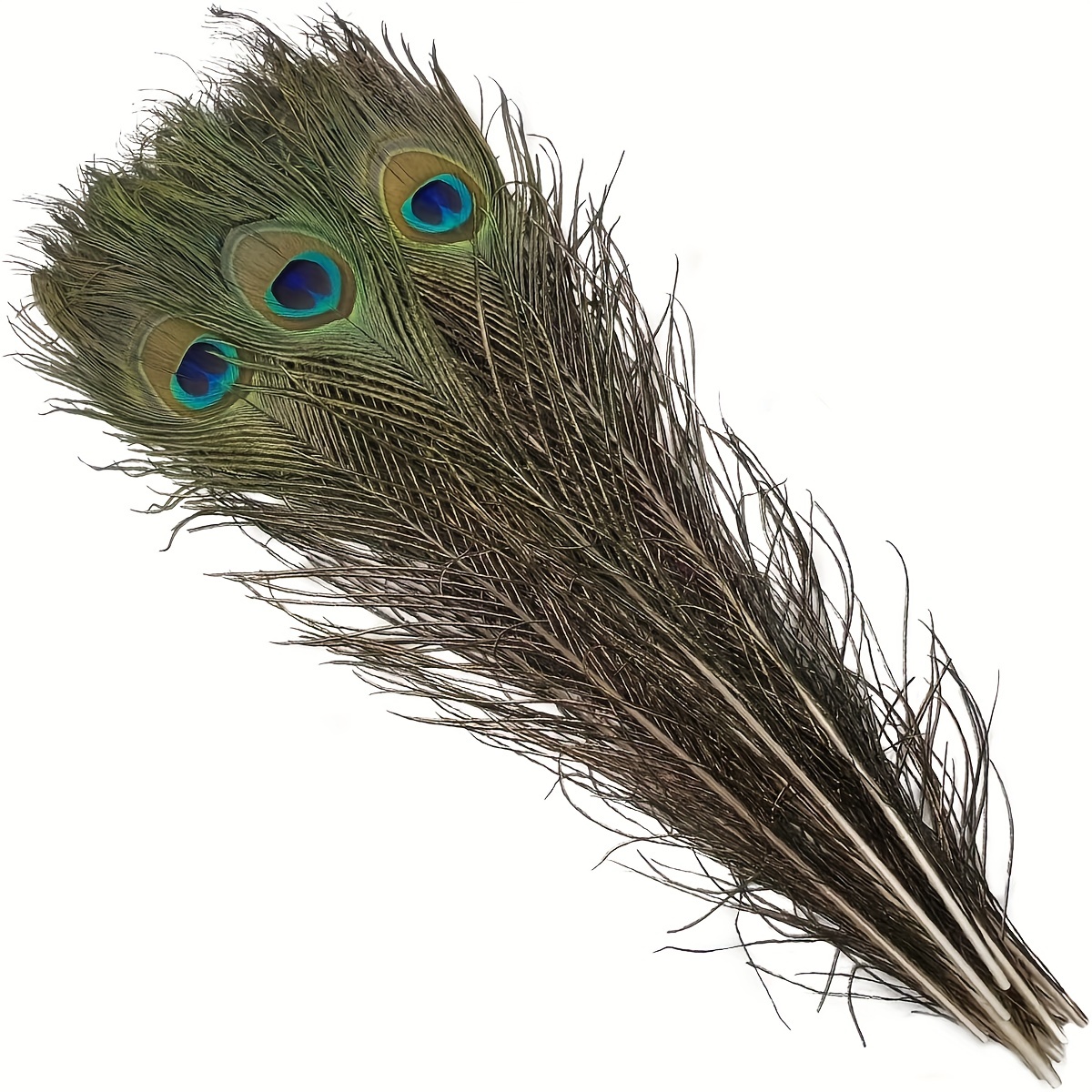 Beautiful Natural Peacock Feathers / For Tall Vases Home - Temu