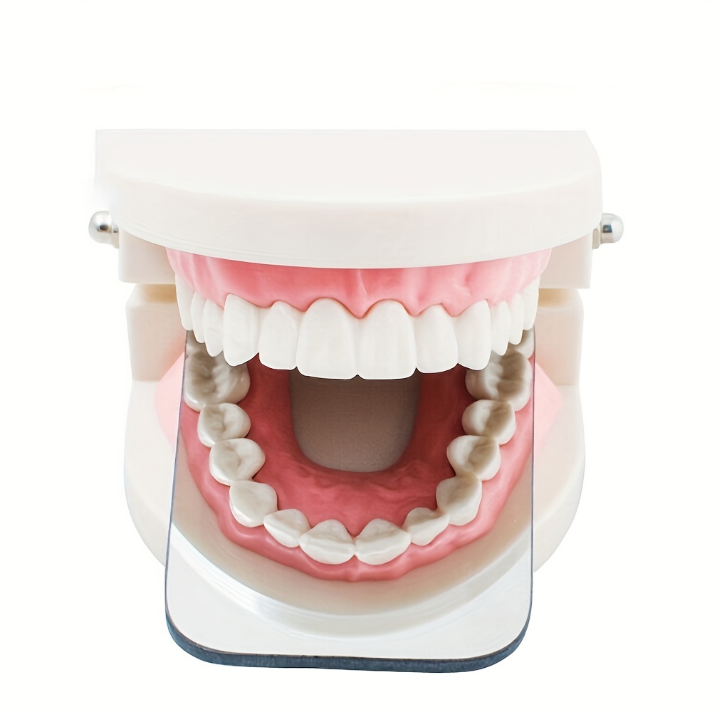 Orthodontie dentaire Miroir double face Réflecteur oral