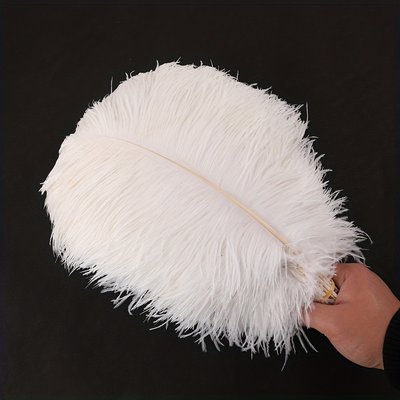 White Mini Ostrich Feathers 5-8 Inch per25