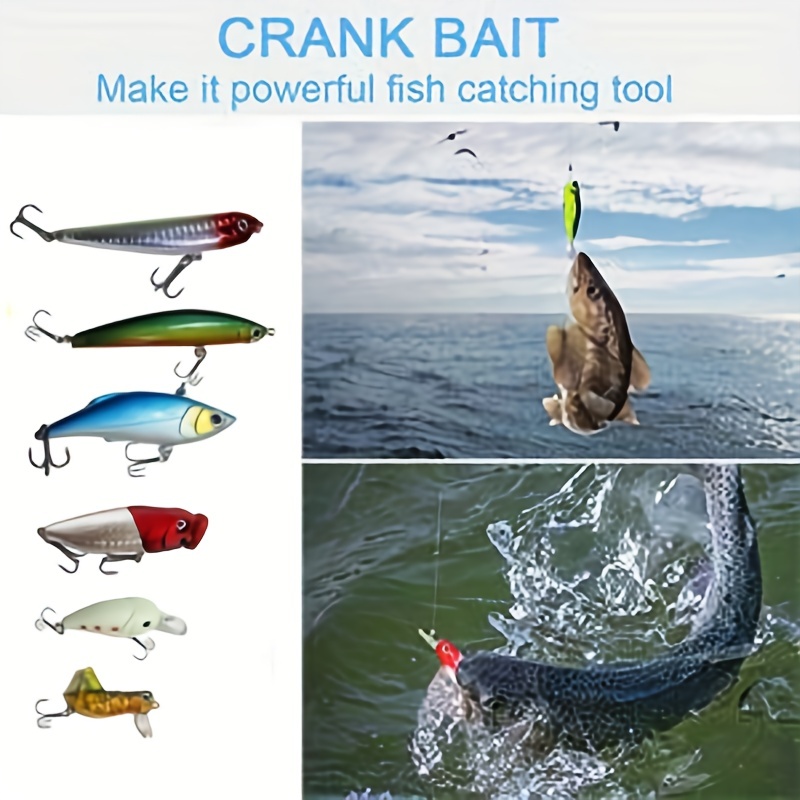Complete Sea Bass Fishing Tackle Kit Lures Hooks Storage Box - Temu Canada