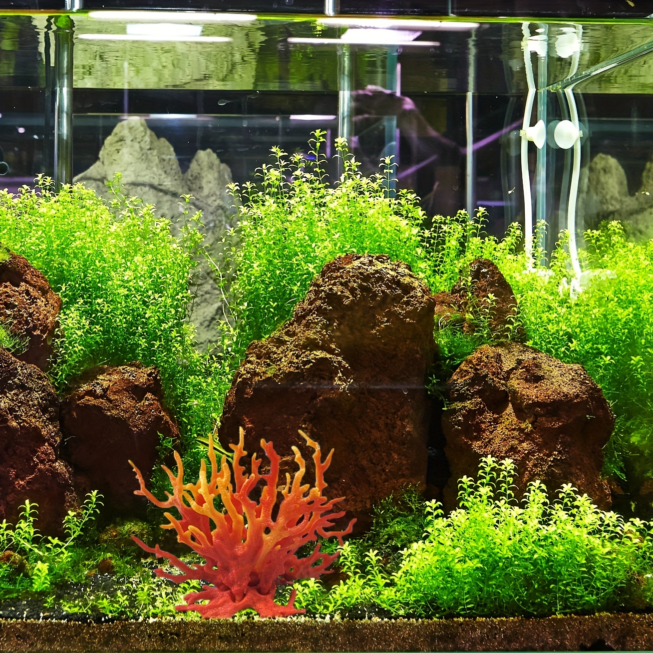1pc Aquarium Coral Ornament Artificial Plastic Plant Coral Reef