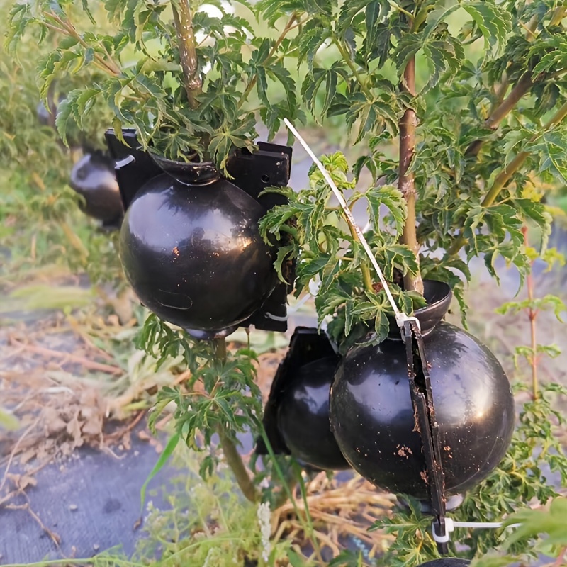 Plant Rooting Device Air Layering Pods Grow Box for Propagation & Root Control