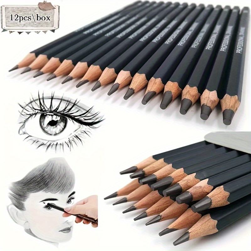 Liquidraw Drawing Pencils For Sketching, Set of 12, Graded Sketch Pencils  For Drawing, Sketching, Art, Shading (8B-2H) Graphite Hard & Soft Pencil Set