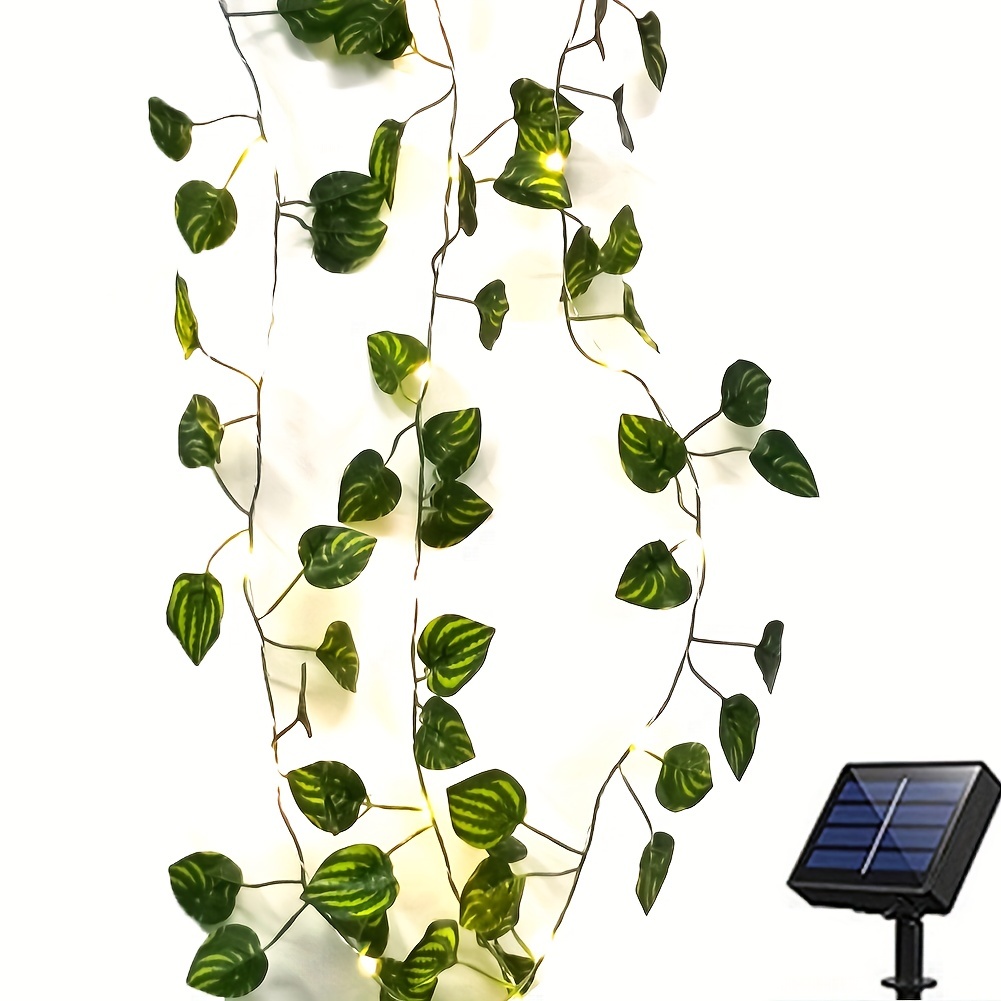 Solar Watermelon Leaves String Lights 20led/ 50led/ 100led - Temu