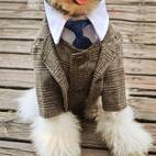 1pc plaid print pet suit jacket for dog and cat for wedding formal clothes