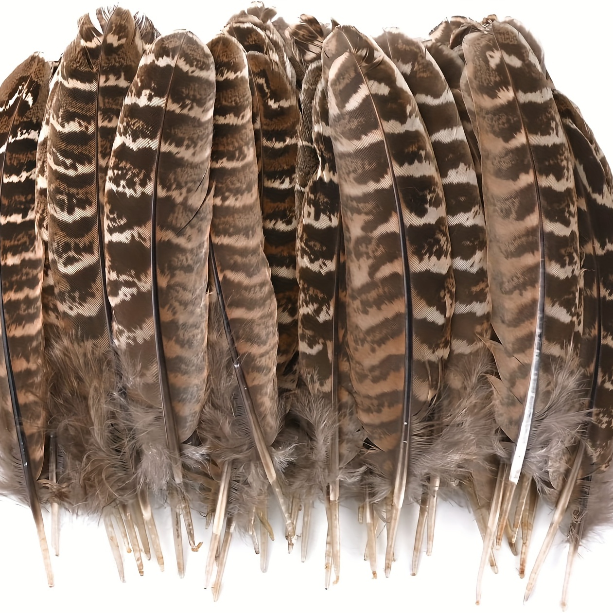 50pcs Feather For Crafts Natural Pheasant Feathers DIY Pheasant Tails  Feather Brown Feathers Natural Speckled Feathers For DIY Dream Catcher  Crafts,Ha