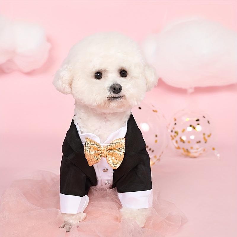 Traje para best sale perro boda