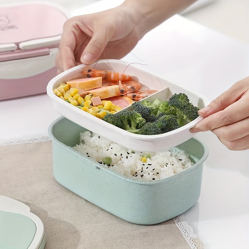 Individual Lunch Box
