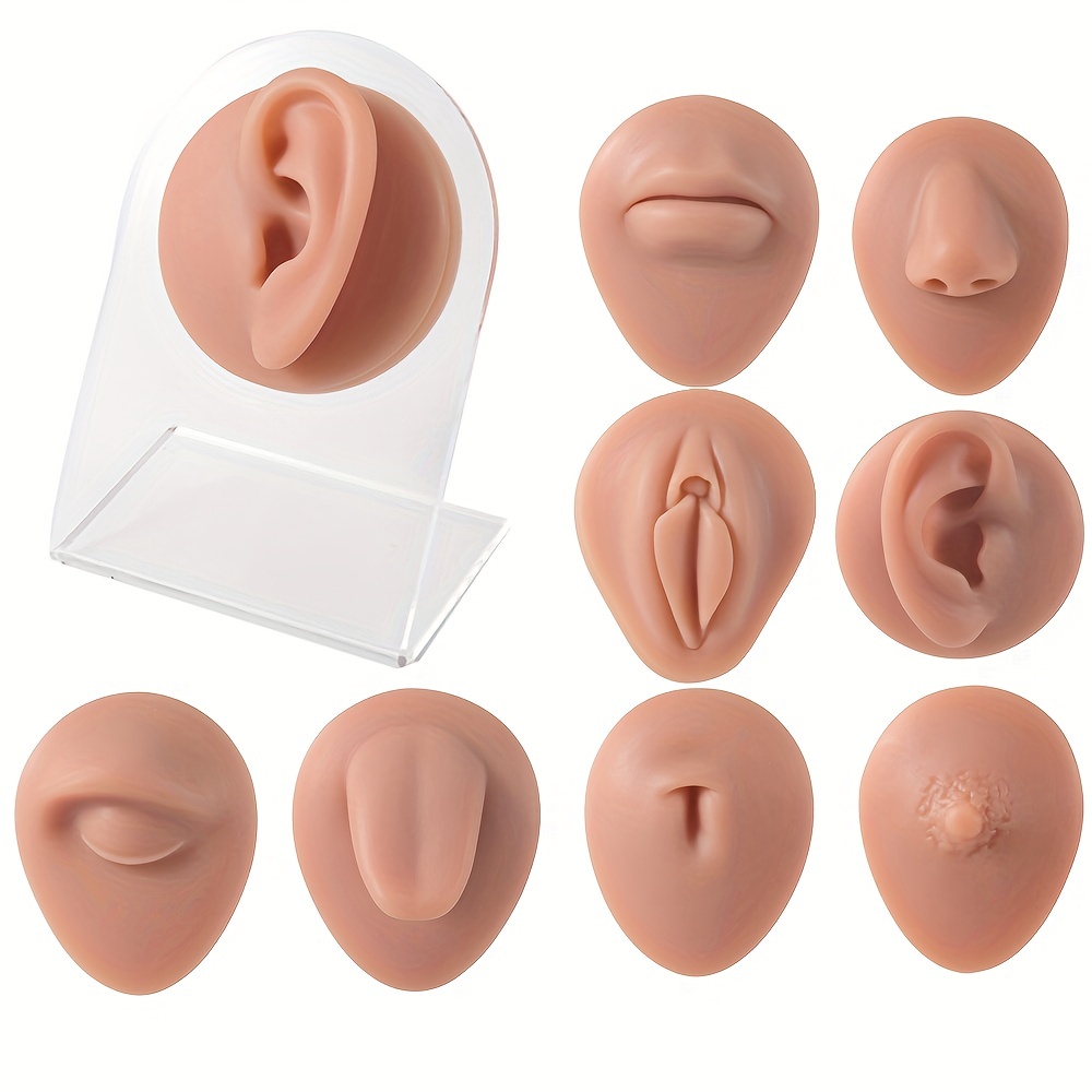 3D Flexible Silicone Human Body Model Displays