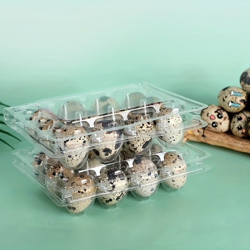 12pcs Quail Egg Packaging Box PET Plastic Holder