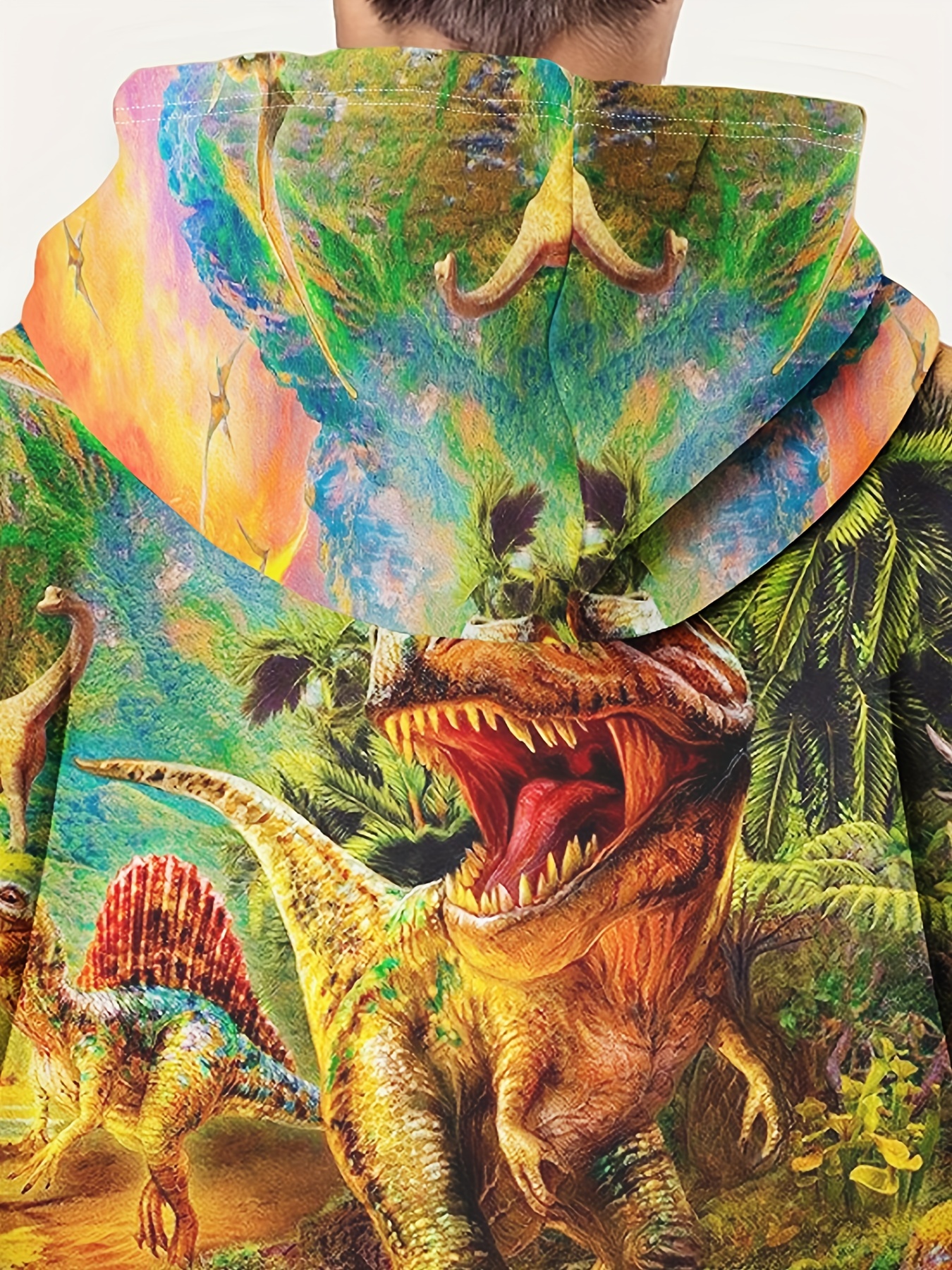 Colorful Dinosaur World 3d Print Boys Casual Pullover Long - Temu