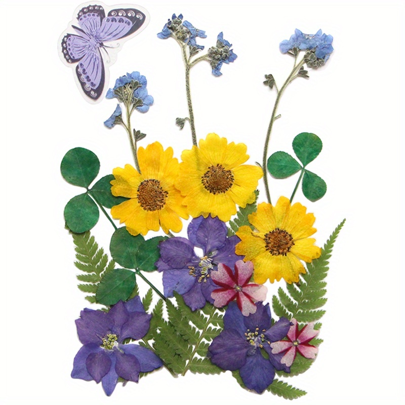 El paquete de 4 flores secas incluye muchos tipos diferentes de  flores prensadas fragantes para manualidades, fabricación de marcos,  producción de álbumes, joyería de resina, manualidades colgantes,  decoración de arte floral