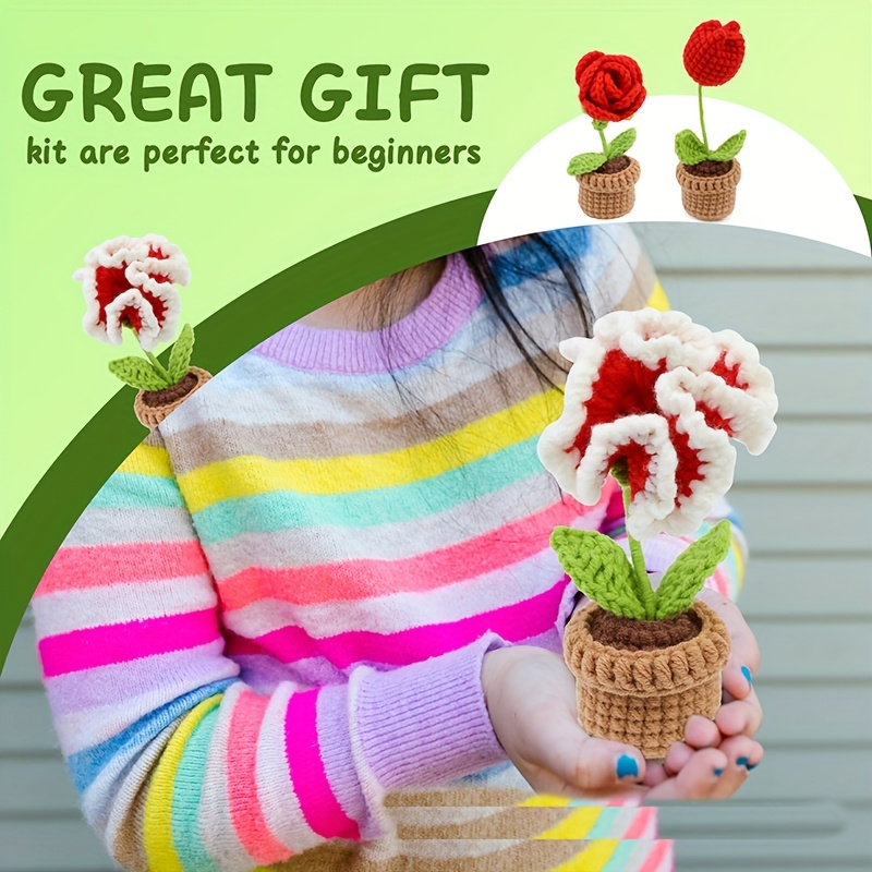 Cactus Potted Crochet Kit For Adults Kids Knitting - Temu