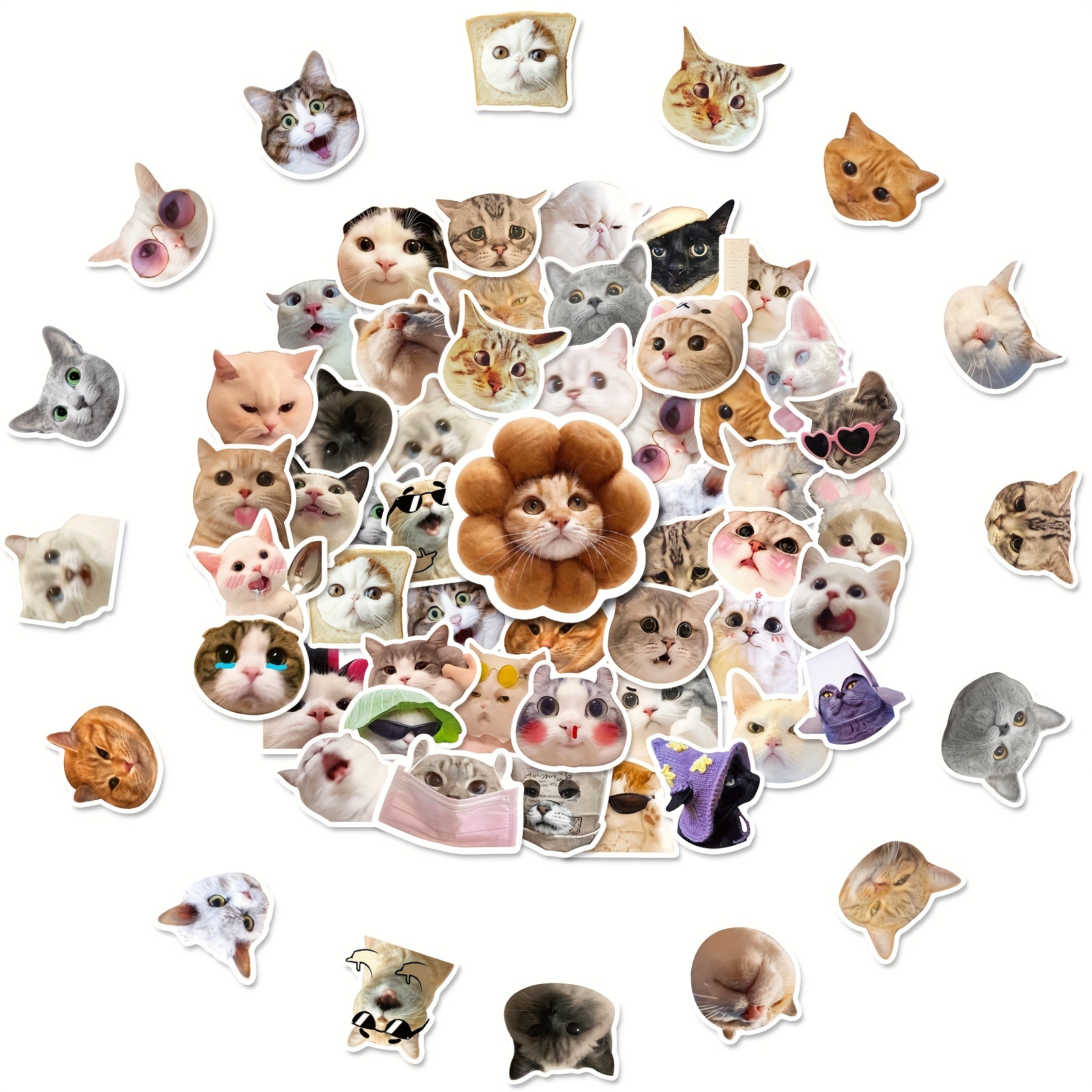 100pcs Cute Cat Stickers Vinyl Waterproof Cartoon Sticker - Temu