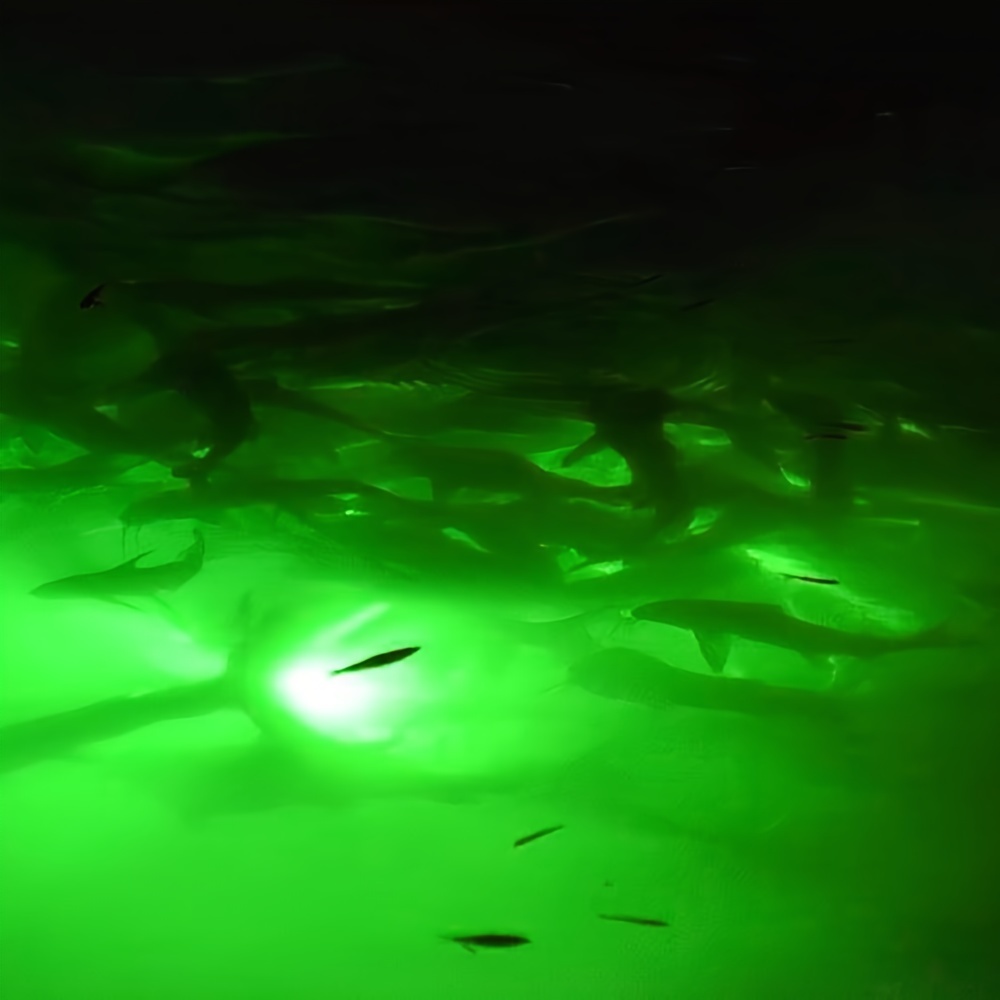 OUKENS Lumière De Pêche en Profondeur, Lampe De Pêche sous-Marine à LED  Super étanche, Lumière Attrayante en Profondeur pour Leurre De Pêche De Nuit