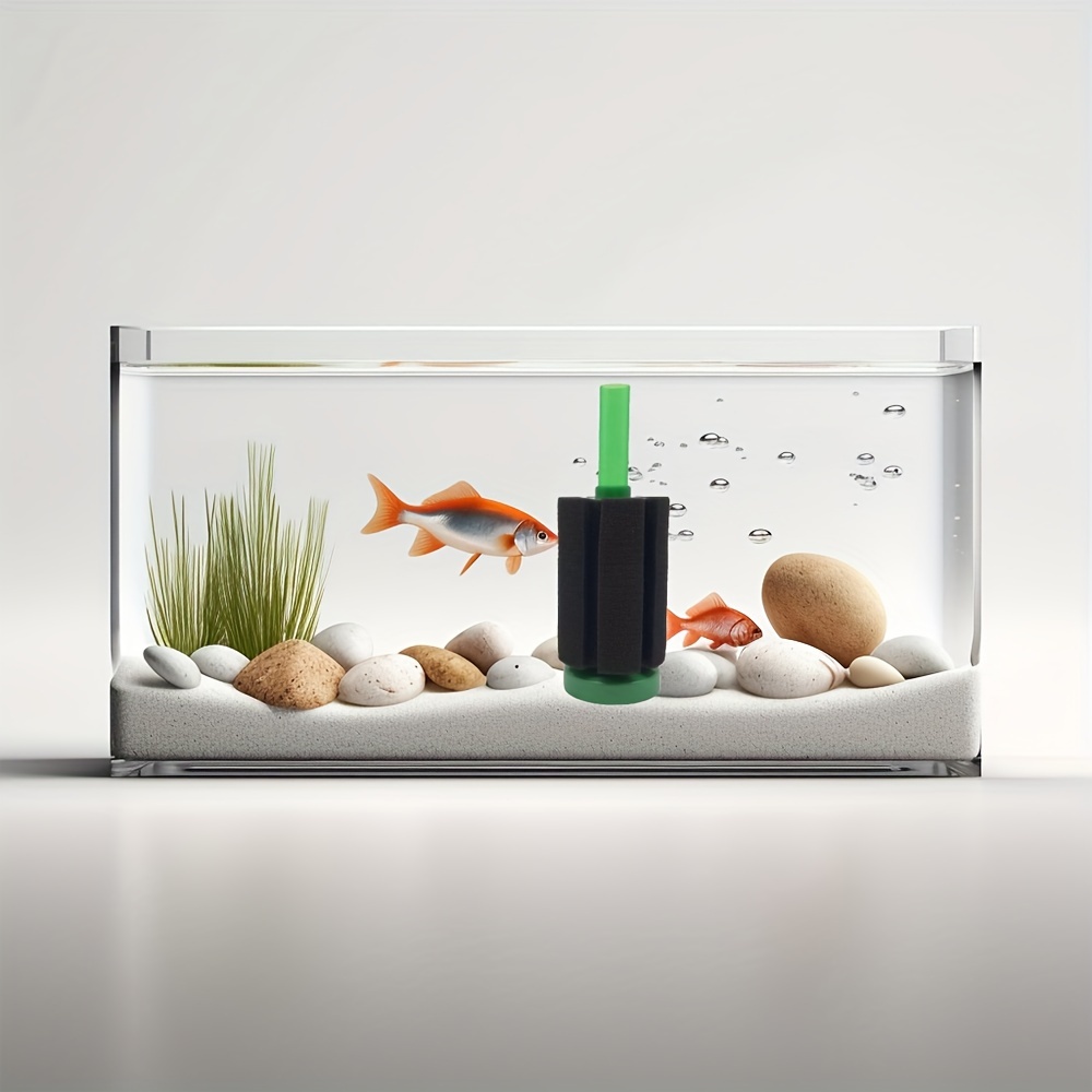 Fish Tank + Fish + Accessories