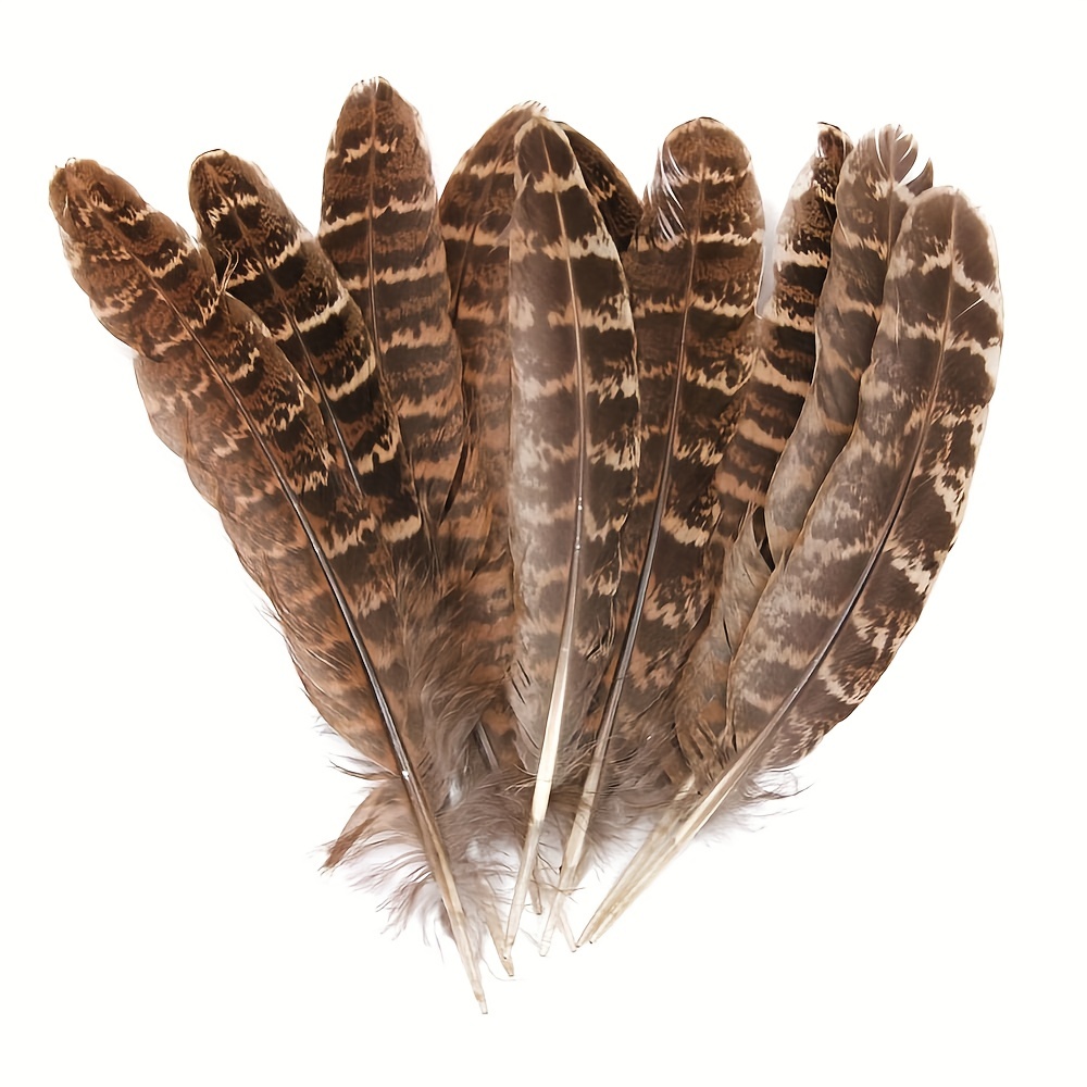 Beautiful /lot High Quality Natural Pheasant Feather Plume - Temu