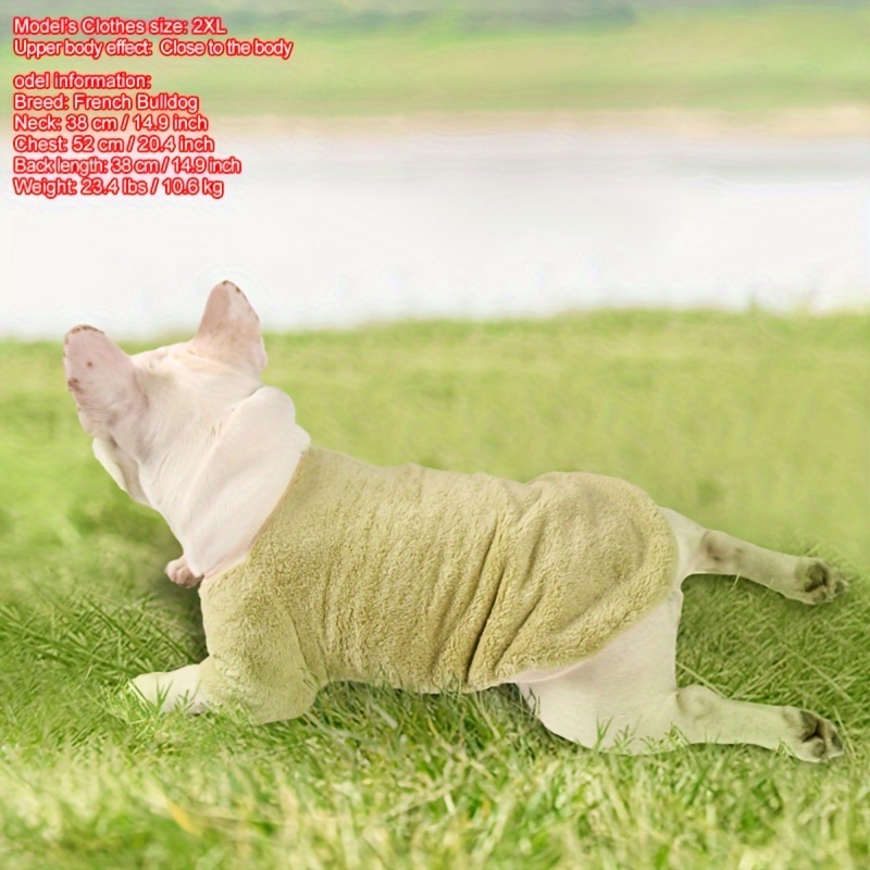 Toy top breed clothes