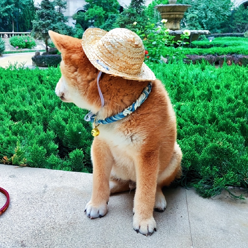 Adjustable Pet Sombrero Straw Hat For Summer Sun Protection - Temu
