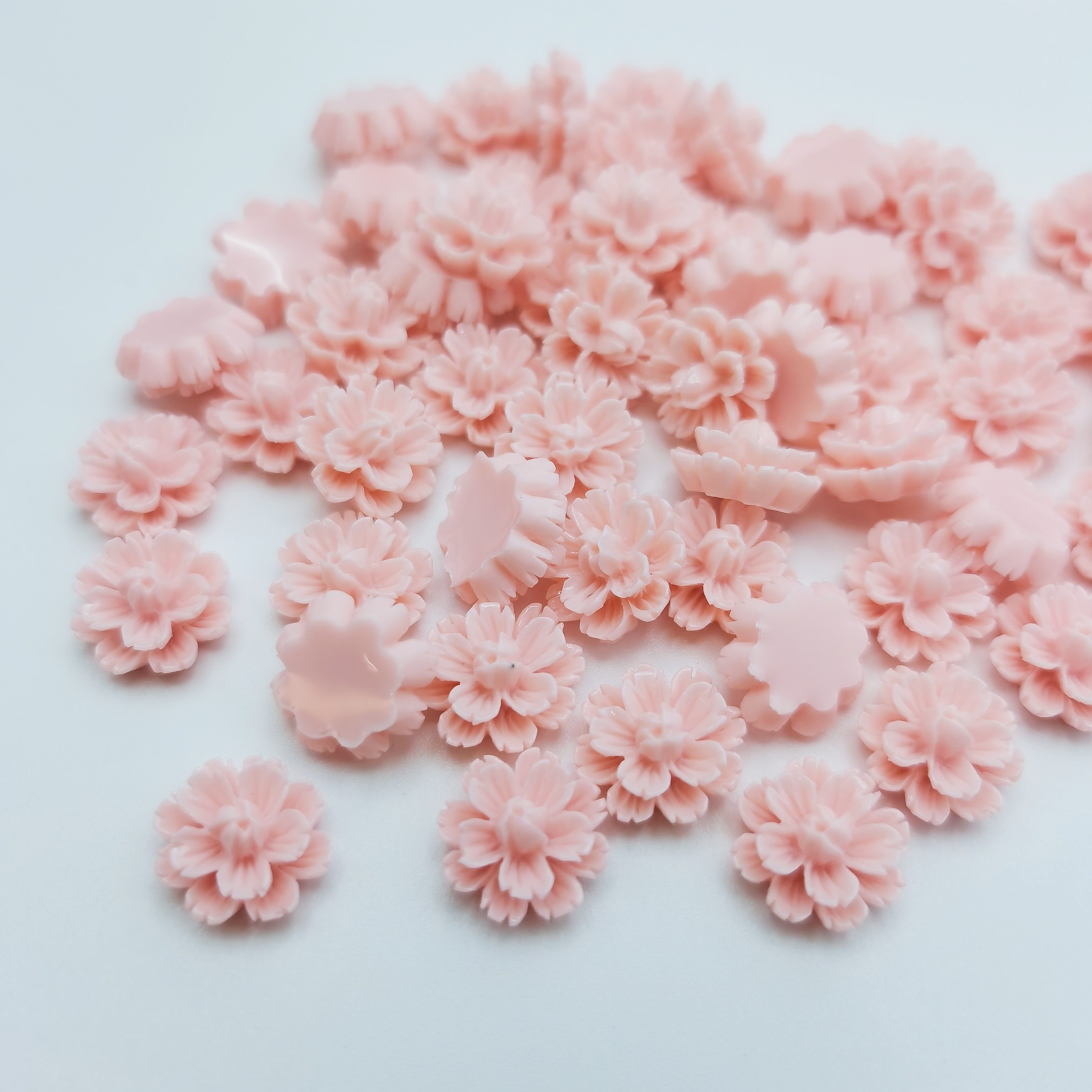 50pcs Bianco Rosa Fiori In Resina Margherita Flatbacks Cabochon  Abbellimenti Fai Da Te Decorazioni Per Telefono Scrapbooking Artigianato  Creazione Di