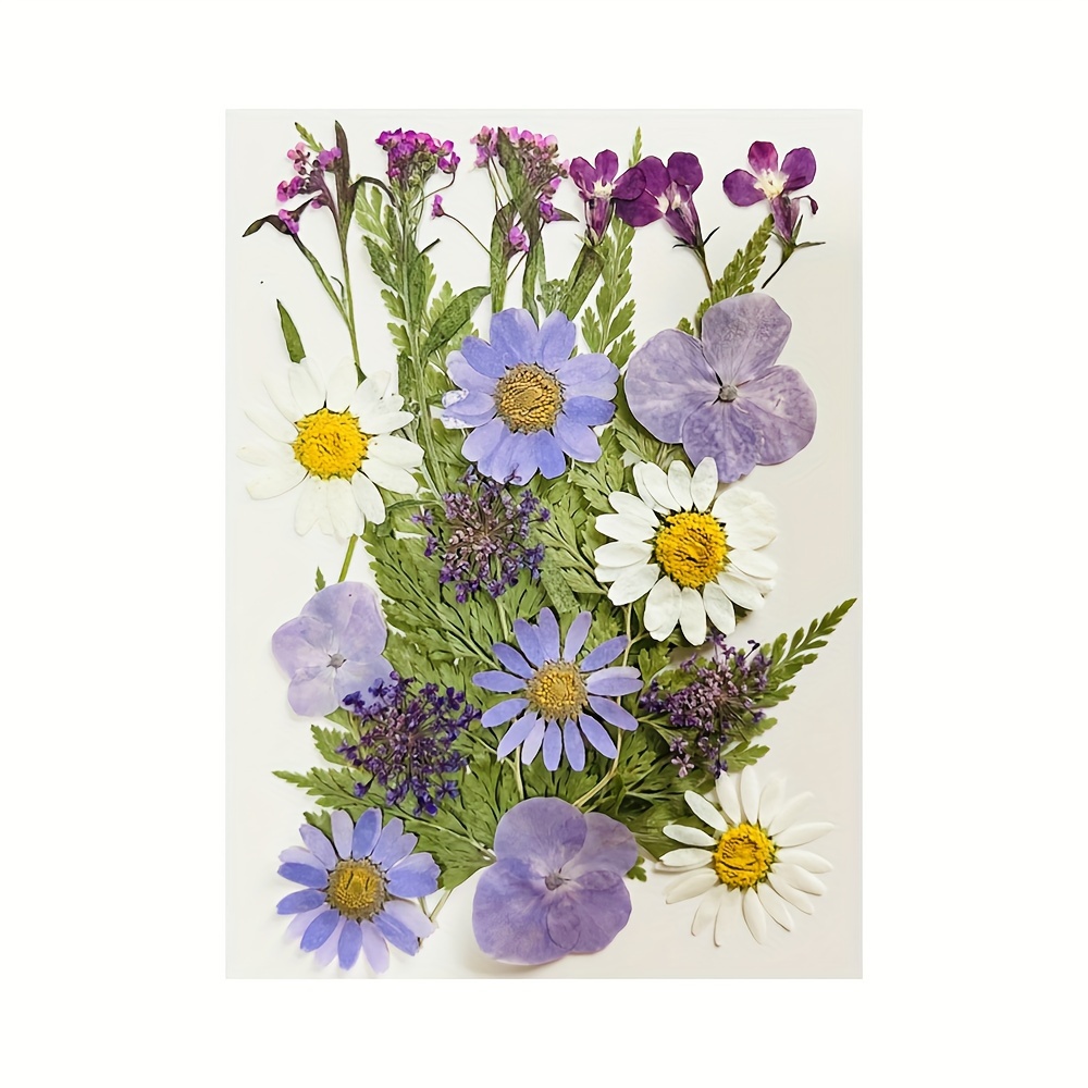 1 Caja De Flores Secas Naturales Reales Para La Fabricación - Temu