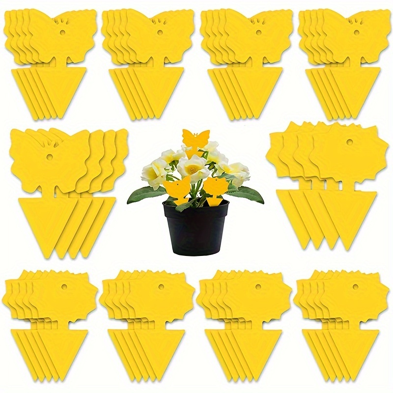 Fruit Fly Traps Fungus Gnat Yellow Sticky Bug Traps 36 Pack Non