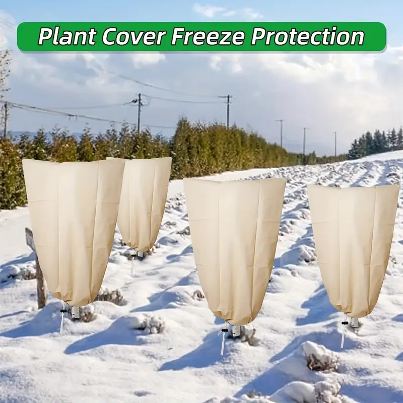 Lot 3 Couvertures Plantes Couverture Plantes L'hiver - Temu Canada