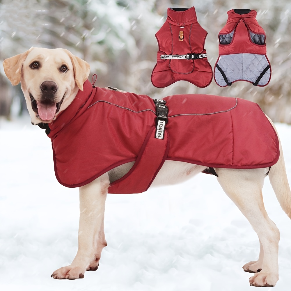 Labrador 2024 winter coat