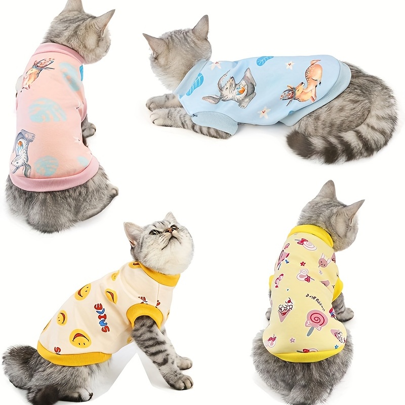 Kitten clothes for outlet cats