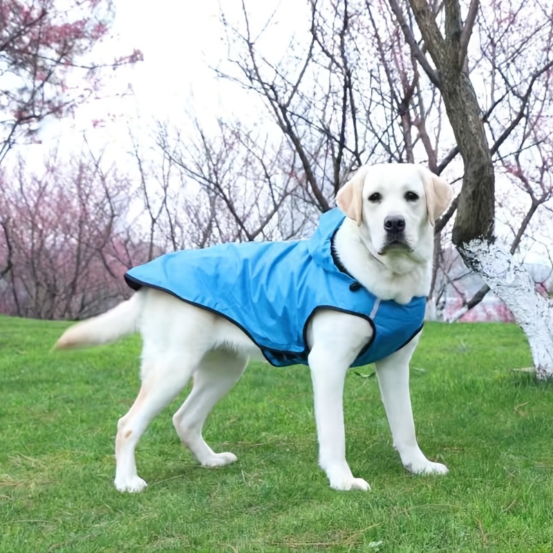 Manteau imperméable pour chiens de petite taille et chats, avec capuche,  réglable, en PVC, transparent, et