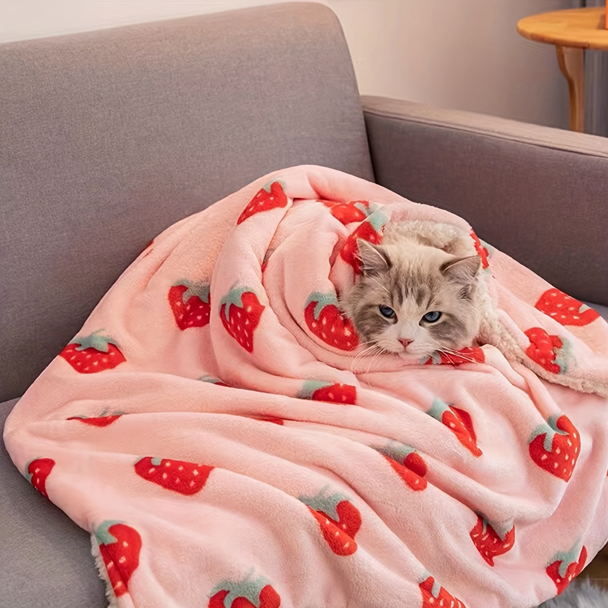 Cat Blanket - Temu