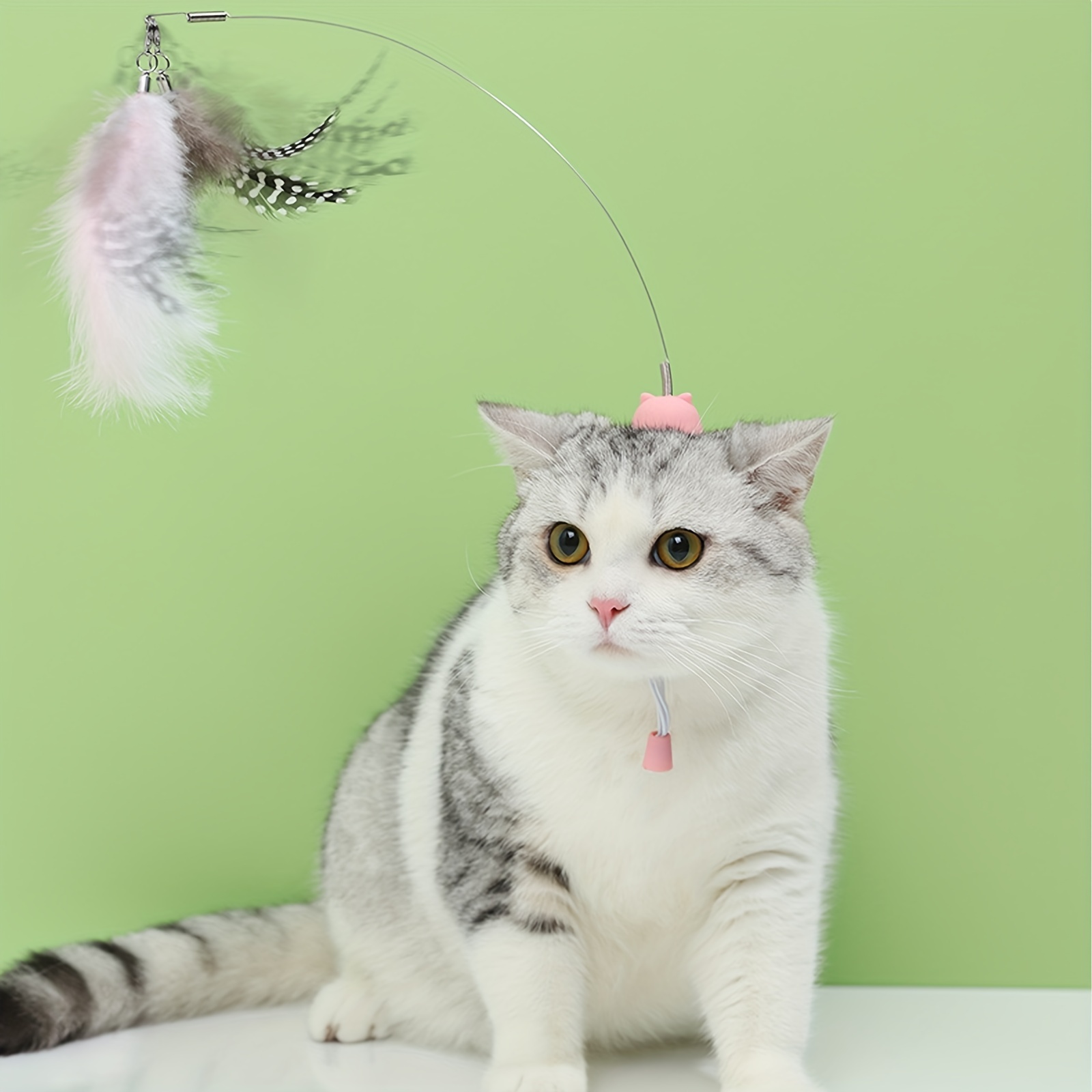 Feather Decor Steel Wire Cat Teaser Stick Toy Indoor Cat - Temu