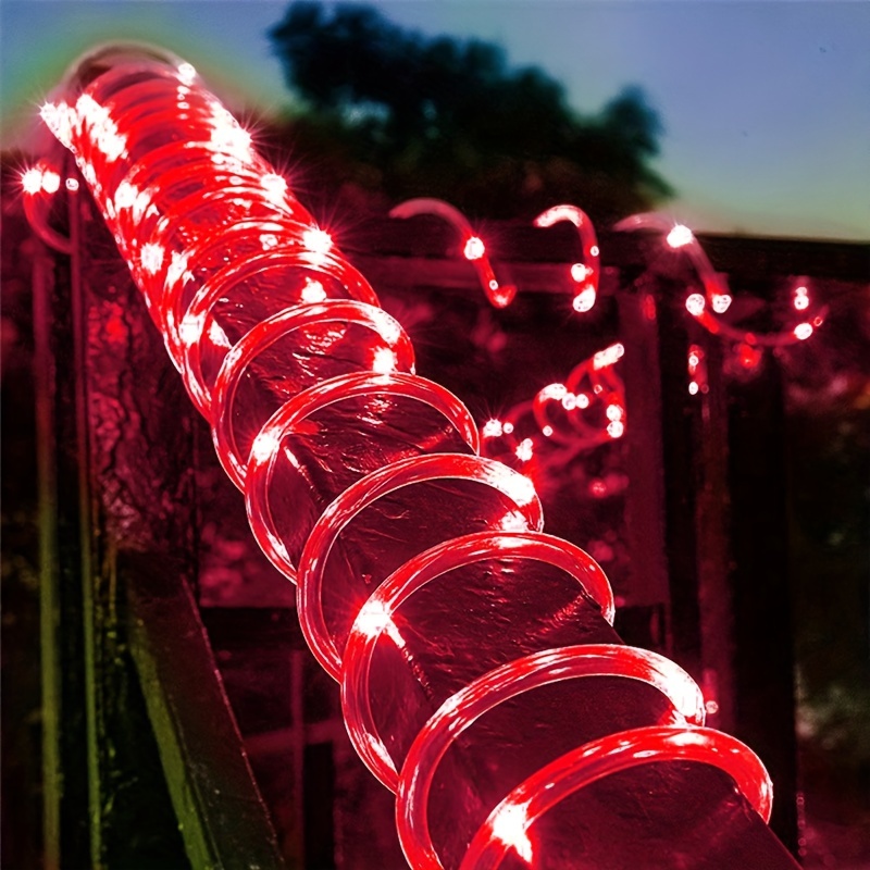 Paradise led online rope light