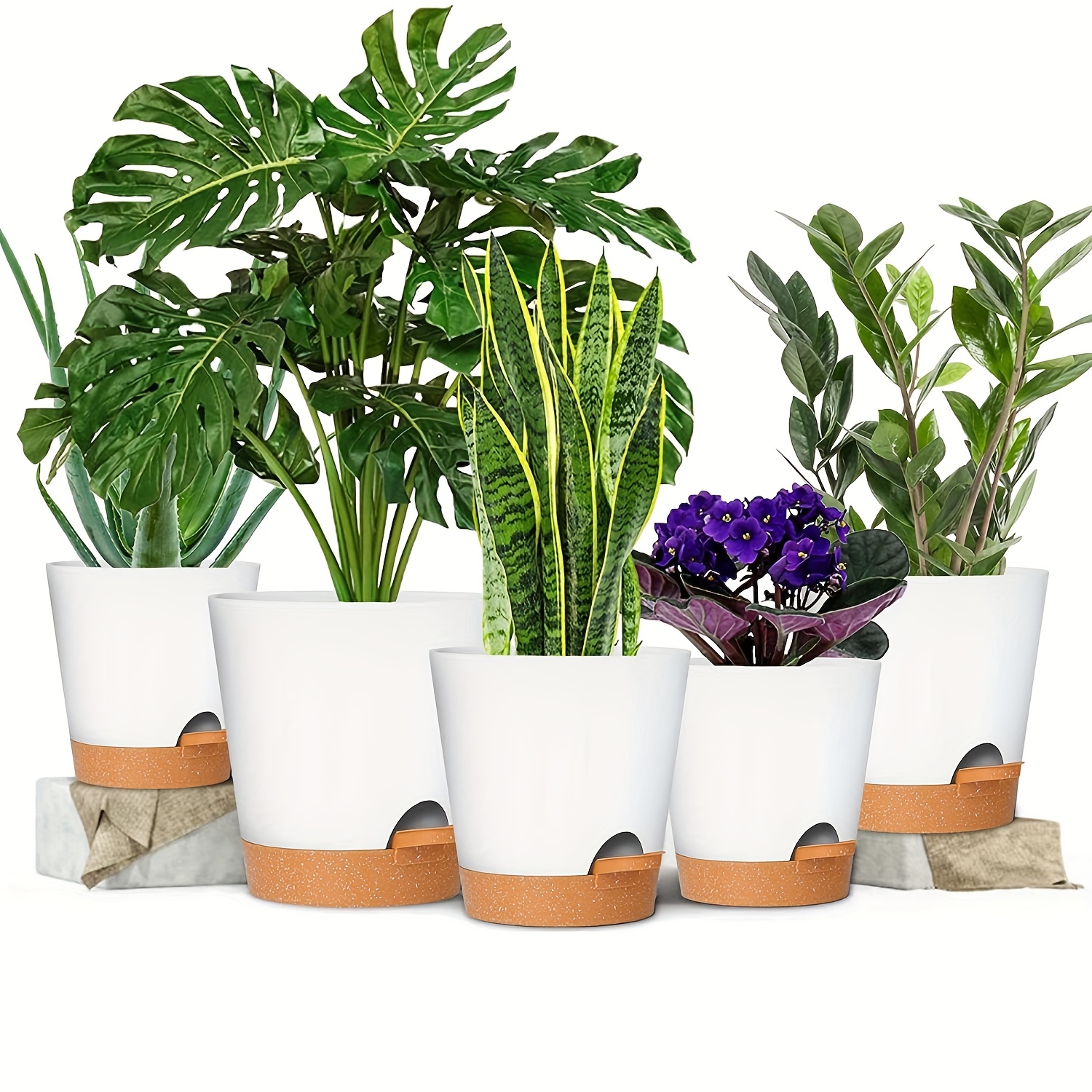 How to choose pots for indoor plants this year