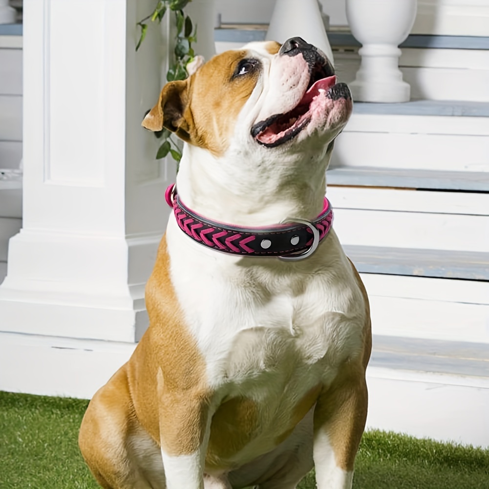 Braided Collar Dog Collar Genuine Leather D-Ring Durable Premium