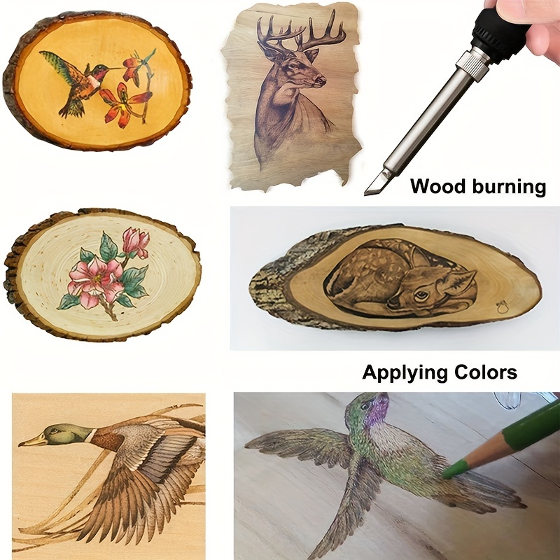 Wood Burning Kit, WoodBurning Tool Adjustable Temperature 200~450 ℃  Pyrography Kit for Adults Kids Beginners (Bue)