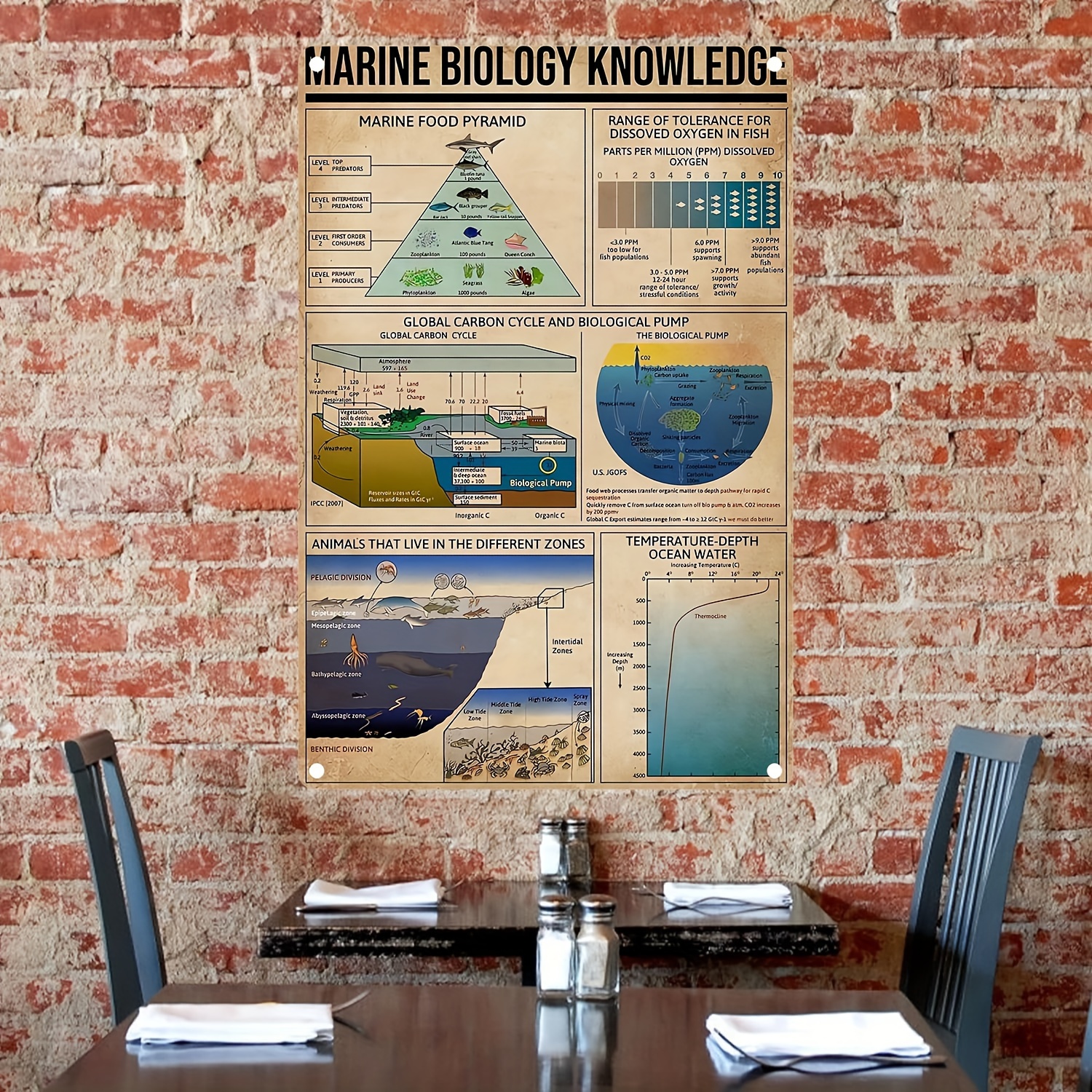 Marine Biology Knowledge Aluminum Metal Sign Education Chart - Temu