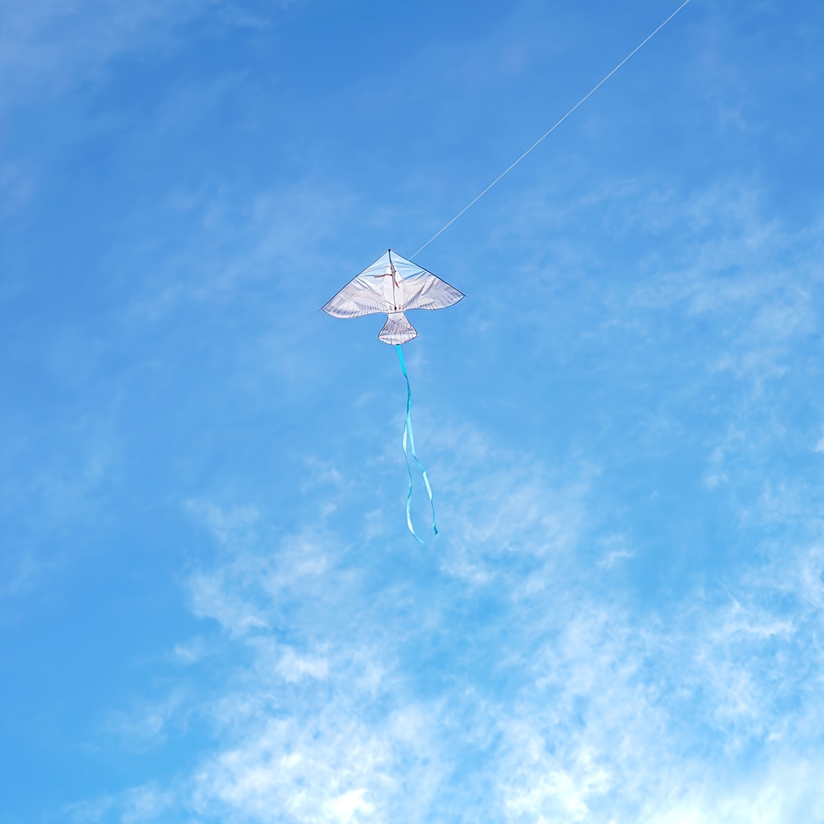 Piquet de sol QG – Flying Smiles Kites