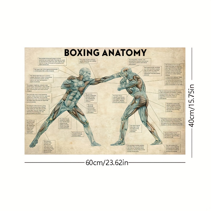 2d Flat, 2d Flat, 1pc Frameless Retro Boxing For Decoration Room Or Office, Suitable For Large Cement Walls, Perfect For And Entrances (no Frame Or Wrapped Canvas Frame Included)