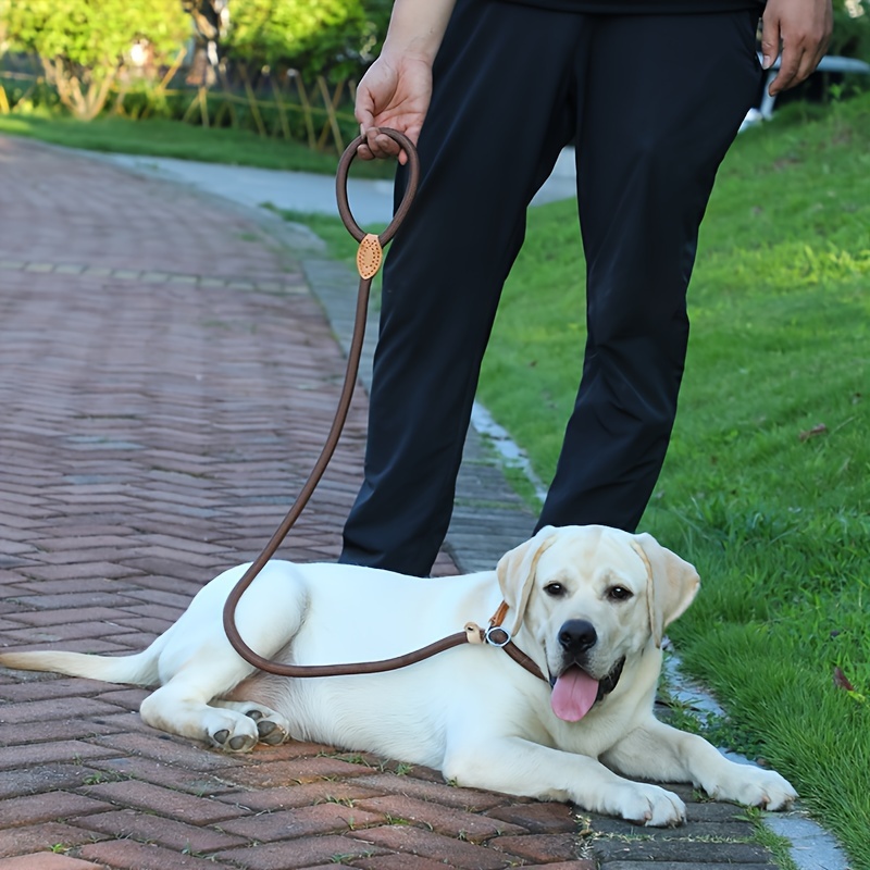 Outdoor Training Leash for Dogs, Strong Traction and Control