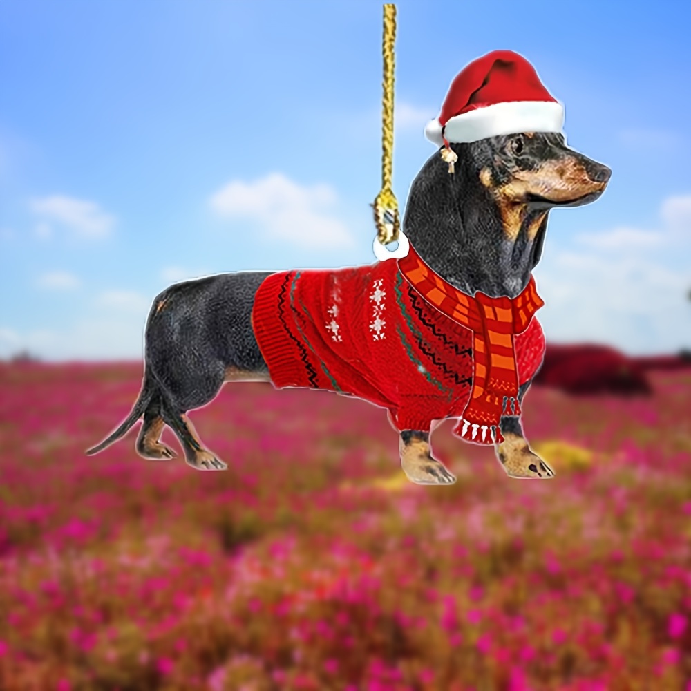 Sausage dog 2024 christmas outfit