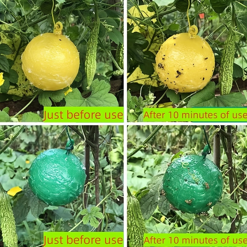 7pcs Large Fruit Fly Ball Trap Sticky Insect Ball Citrus Needle Bee Yellow Green
